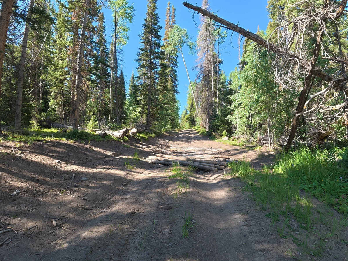 Willows Cabin Road - FS 280 photo 3