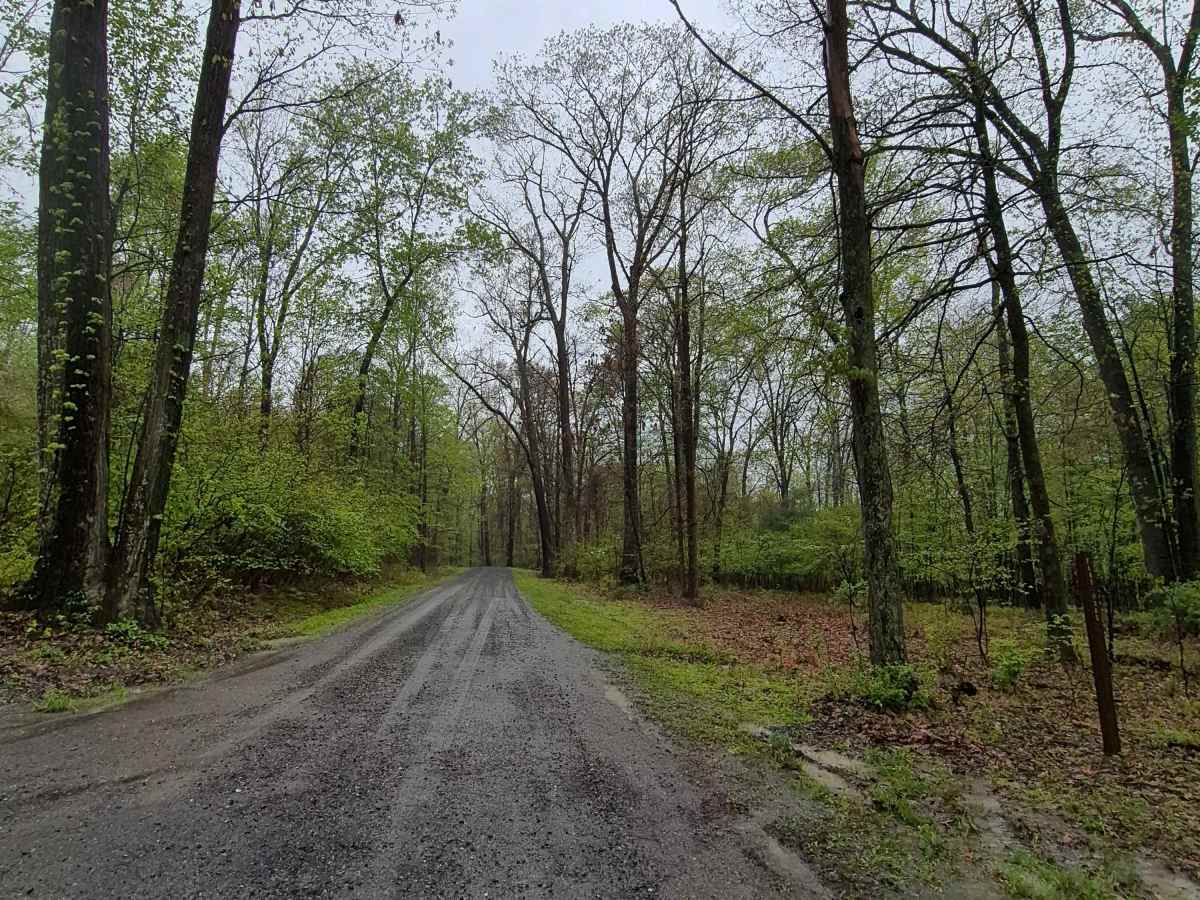 Flat Road photo 2