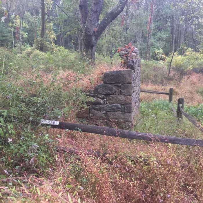 Near Farmstead Trail (Yellow)