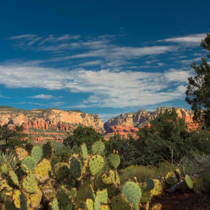 Near Girdner Trail