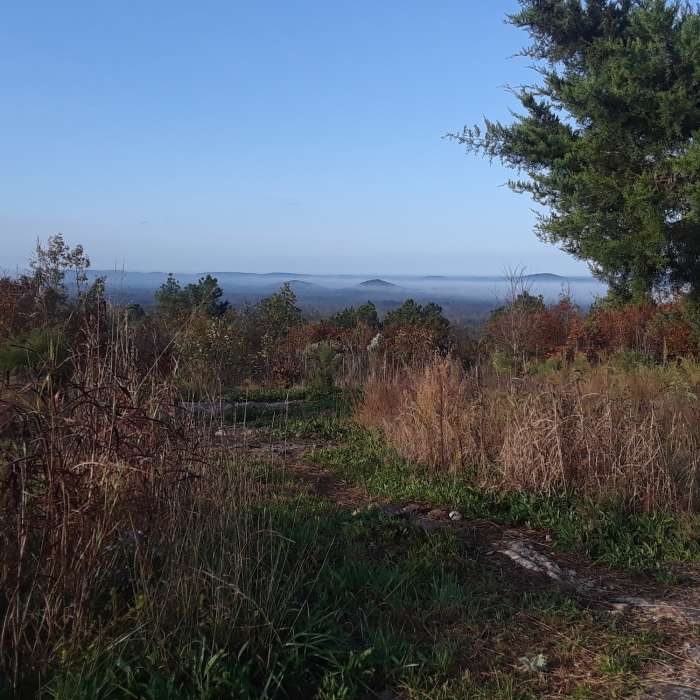 Near Uwharrie Trail Extension