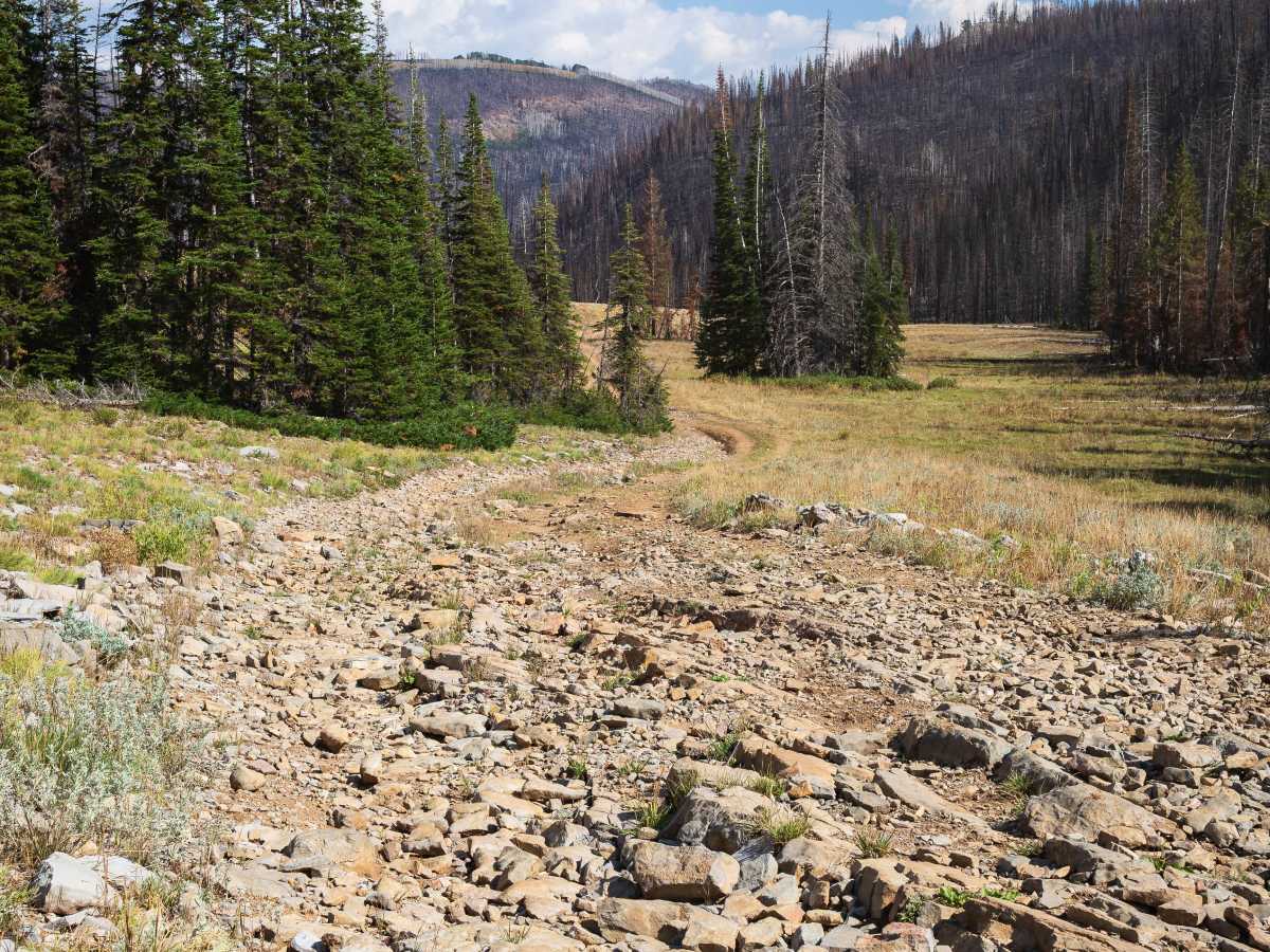Mill Fork - FS 70580/10318 photo 6