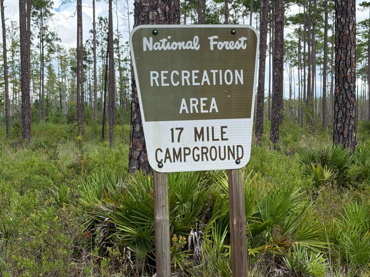 Osceola 277-B photo 5