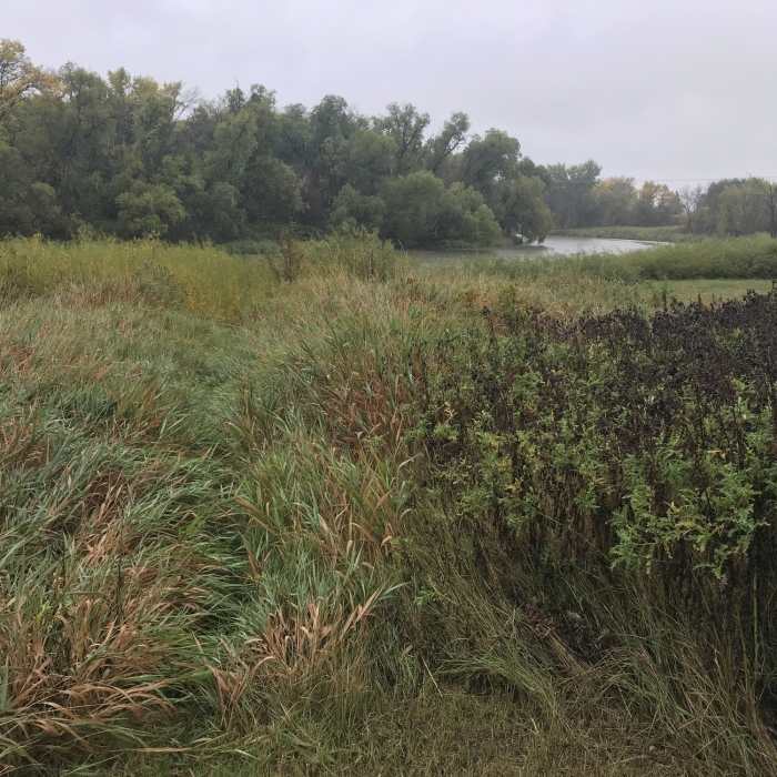 Near Lion's Conservancy Park