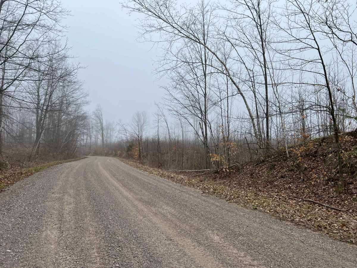 Sunrise Lake Road - FS 2319 photo 4
