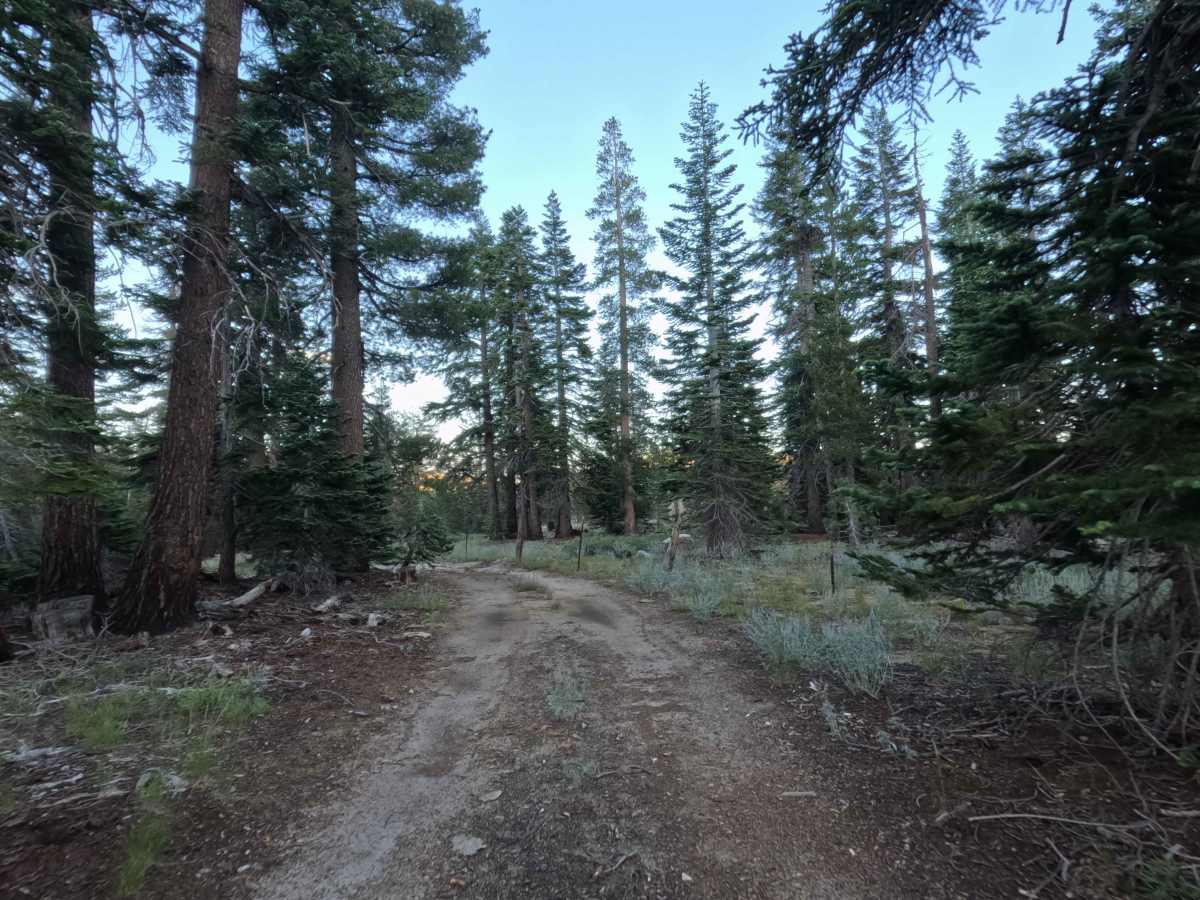 Willow Creek Road - FS 31051D photo 6