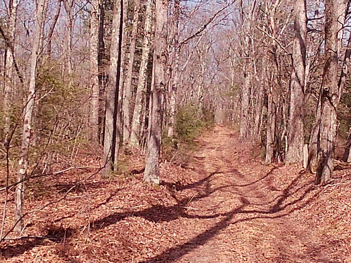 Zimmerman Road photo 4