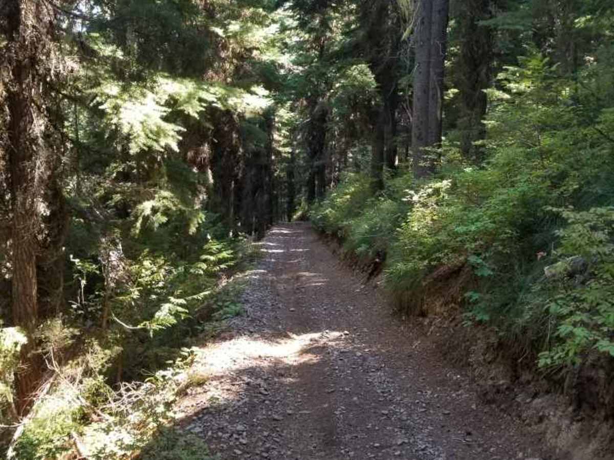 Lost Lake photo 4