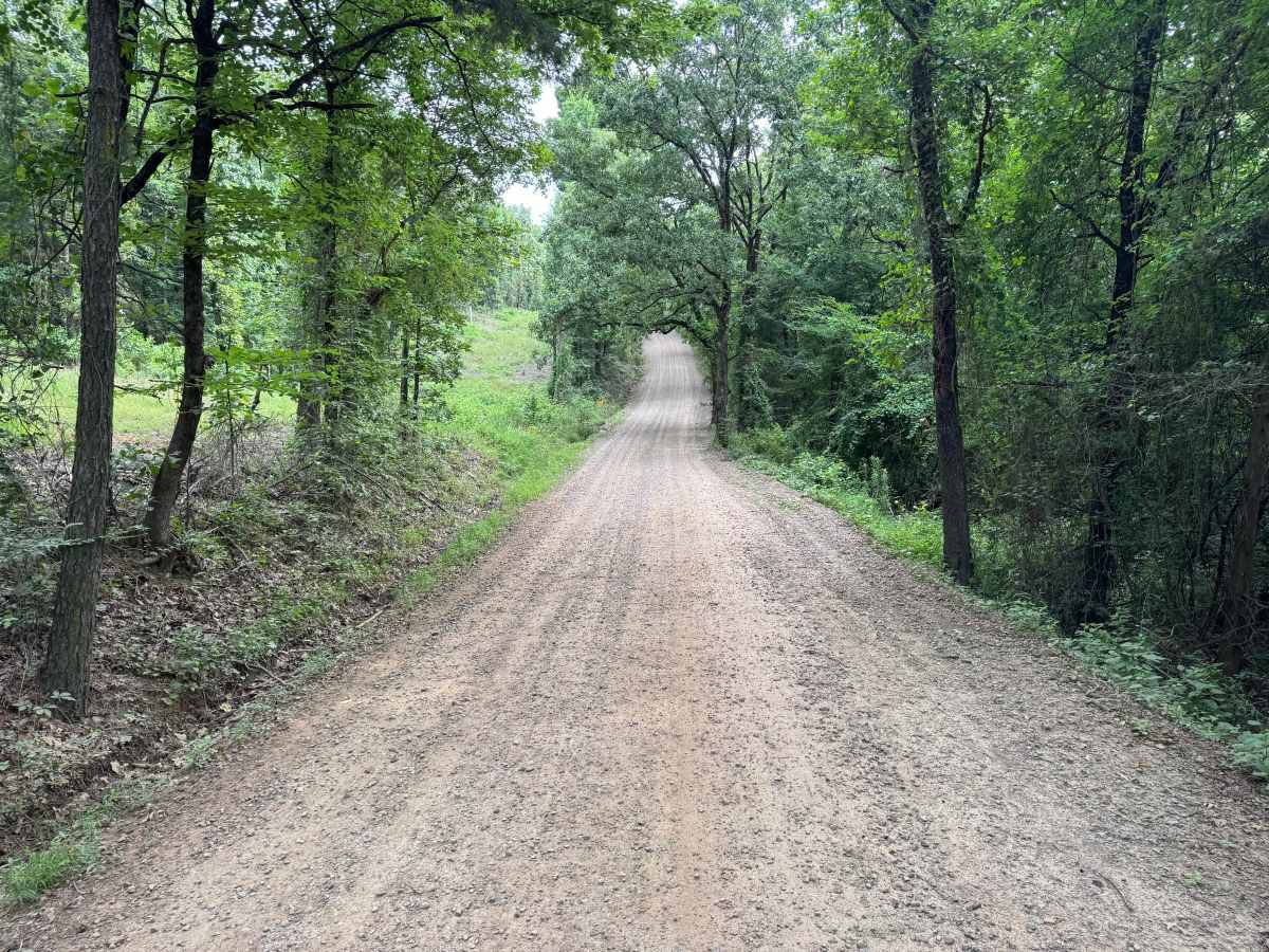 County Road 3091 photo 3