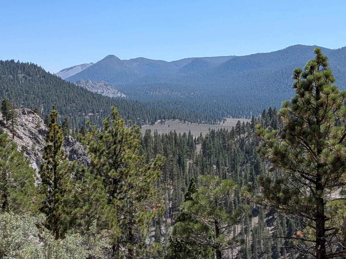 Forest Service Road 1S127 photo 3