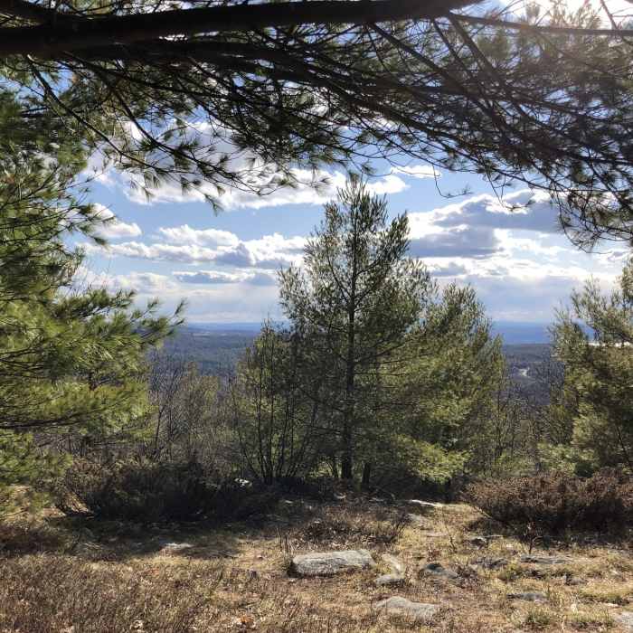 Near Mount Rowe Trail