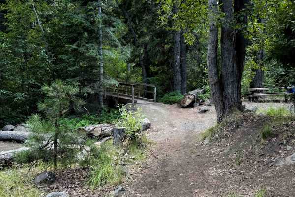 Taneum Cub Trail - FS 1370