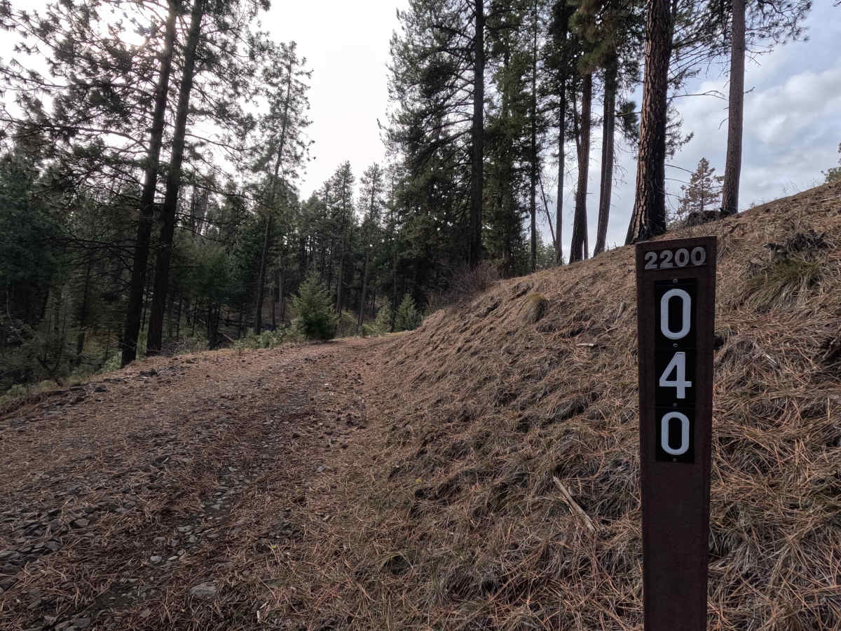 Turner Mountain - FS 2200040 trail photo