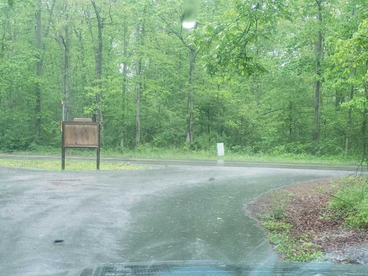Coal Road photo 3