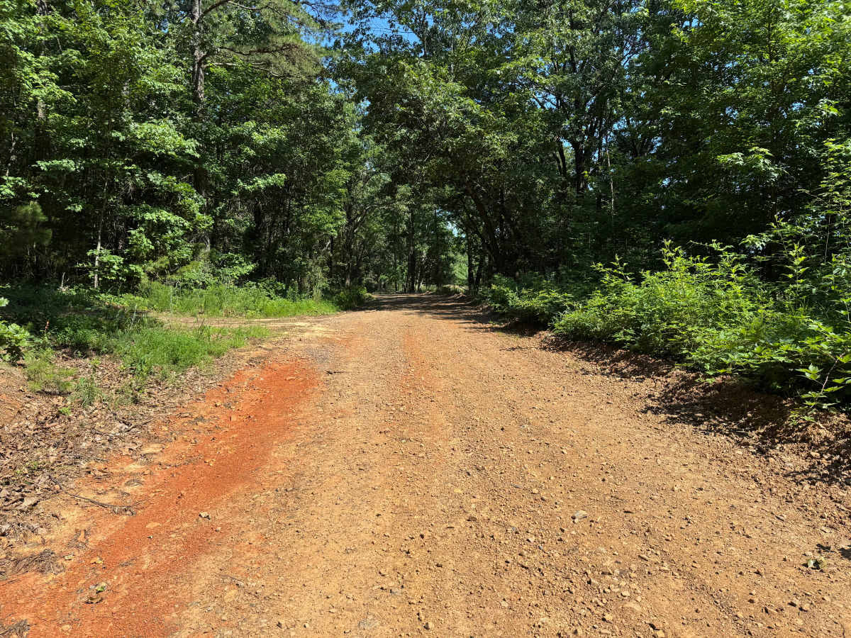County Road 4015 photo 2