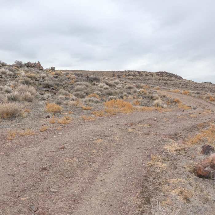 Near Lone Mountain Summit