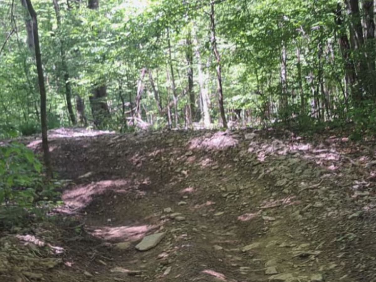 C and D Trail photo 4