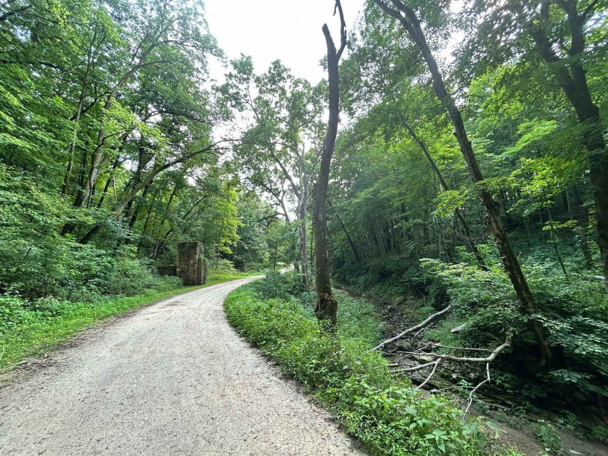 Fortune Road photo 3