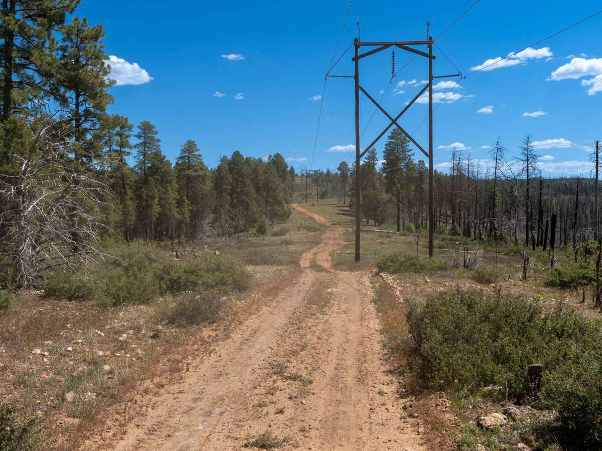 Bunker Ridge - FS 538B photo 2