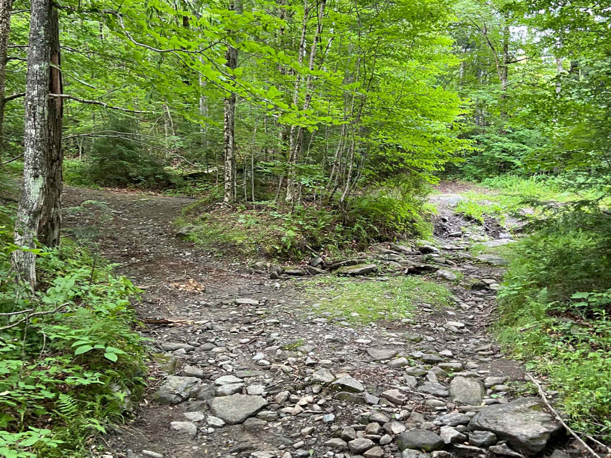 Turnpike Road photo 2