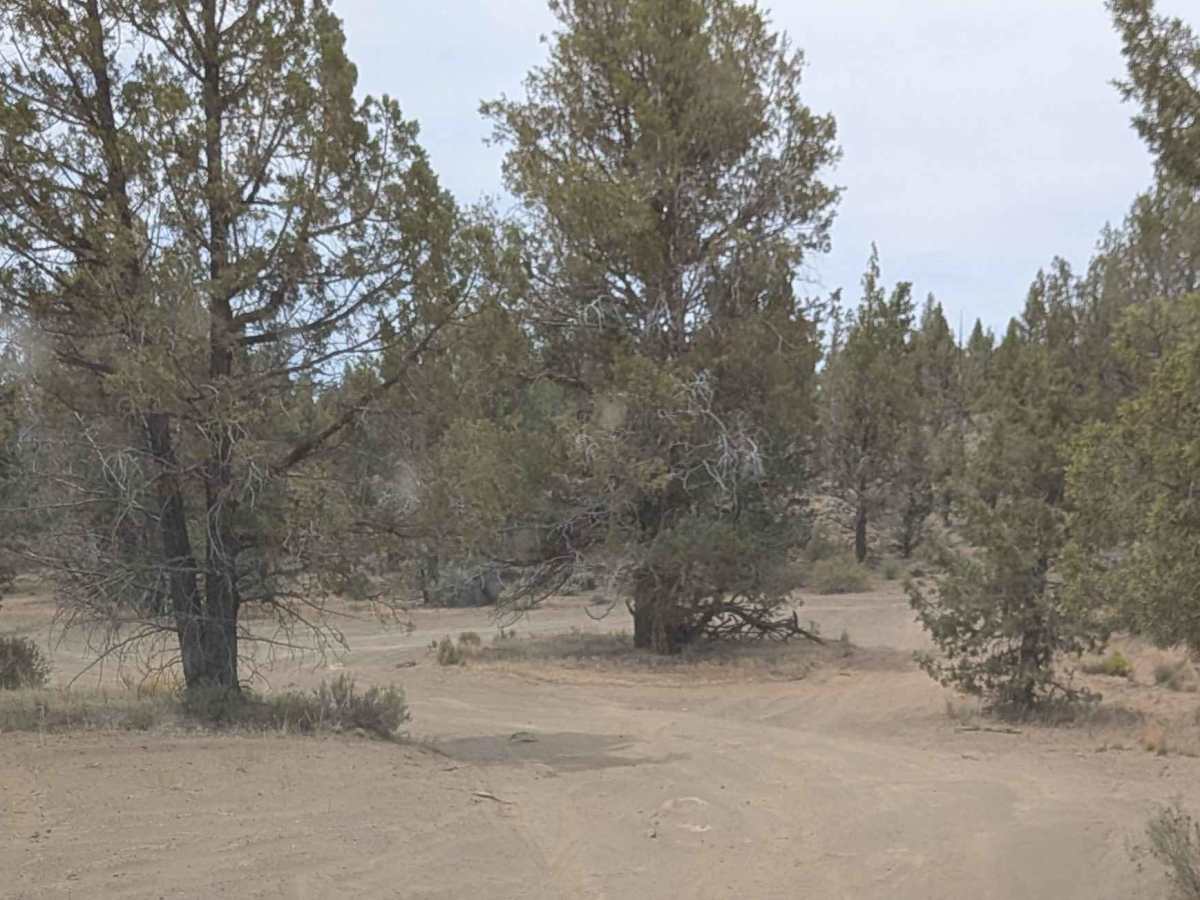 Cline Buttes OHV Trail 21 photo 3