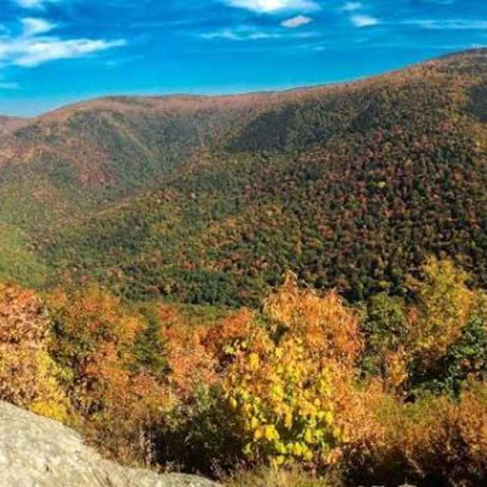 Near Mount Greylock via Cheshire Harbor Trail Near Mount Greylock via Cheshire Harbor Trail