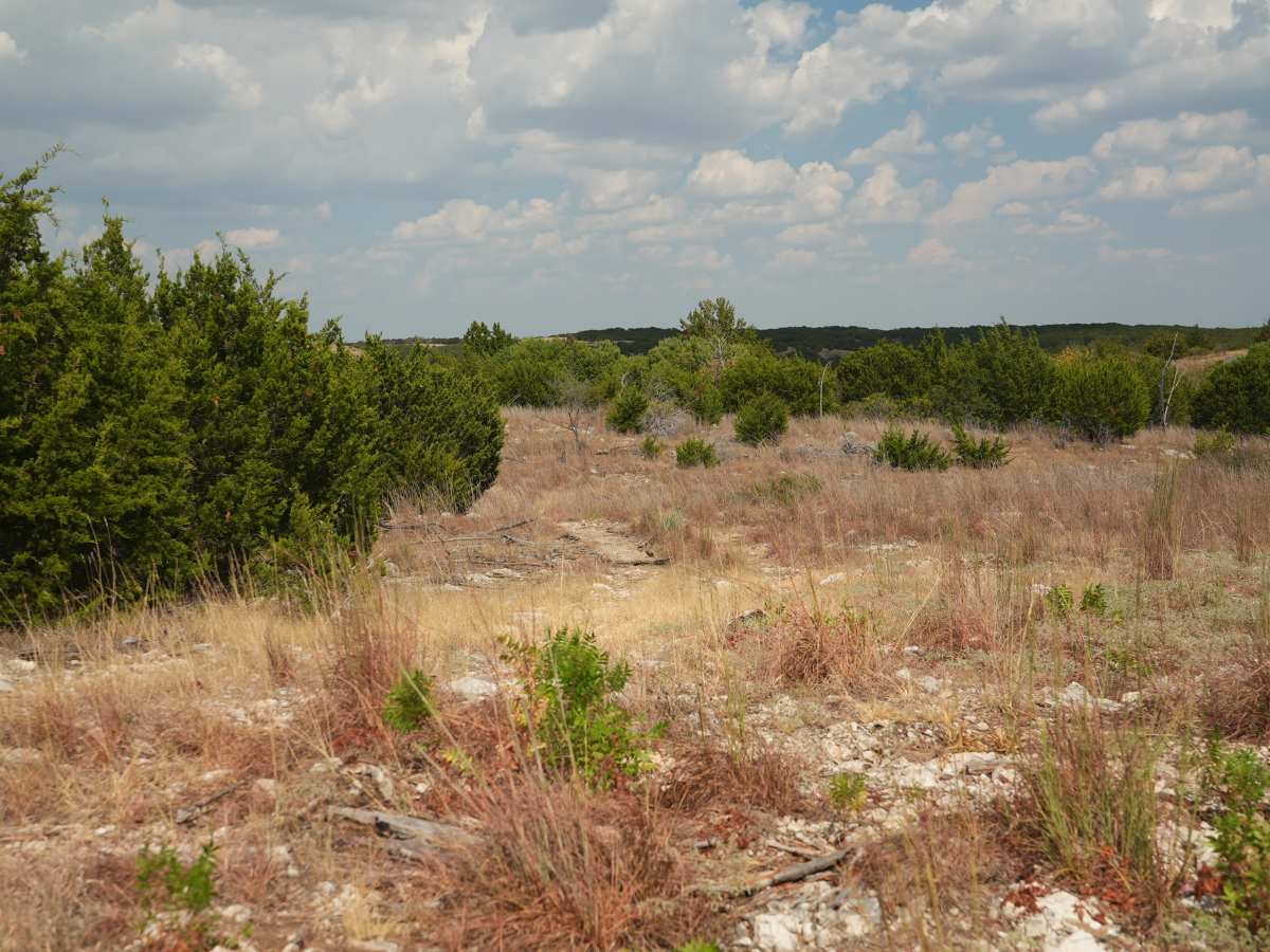Blue 65 trail photo