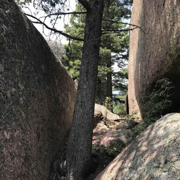 Near Winding Stairs Trail