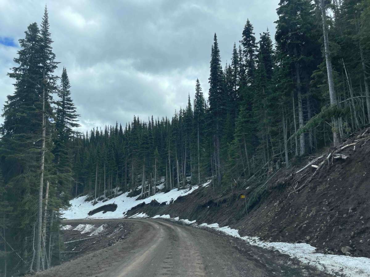 Telkwa 116 Road photo 3