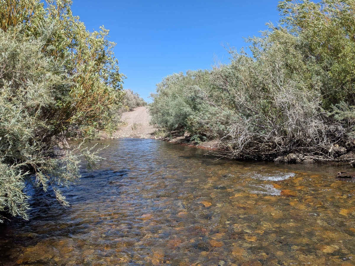 Rush Creek Road trail photo