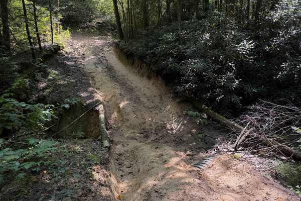Short Ridge Trail