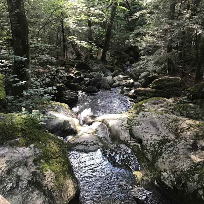 Near Camel's Hump Loop