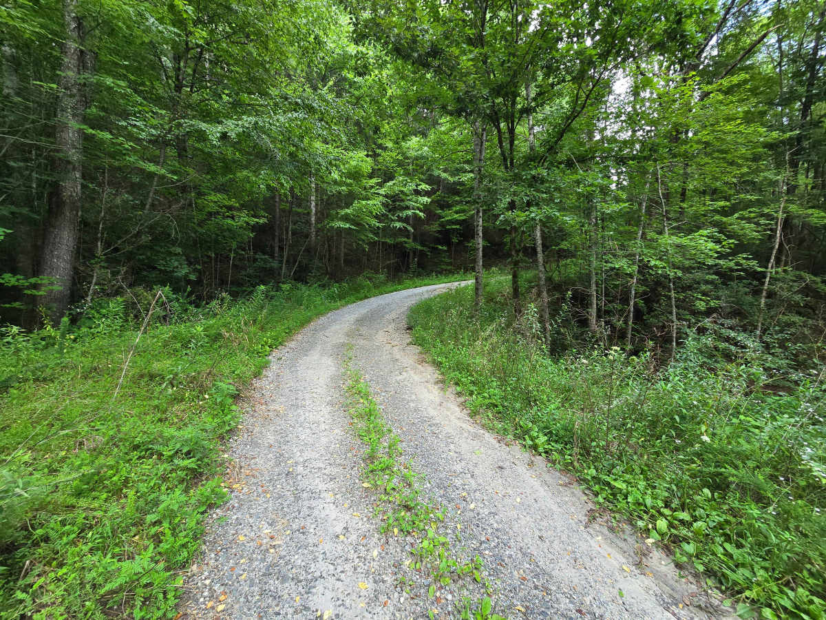 Derreberry Gap - FS 6148 photo 4