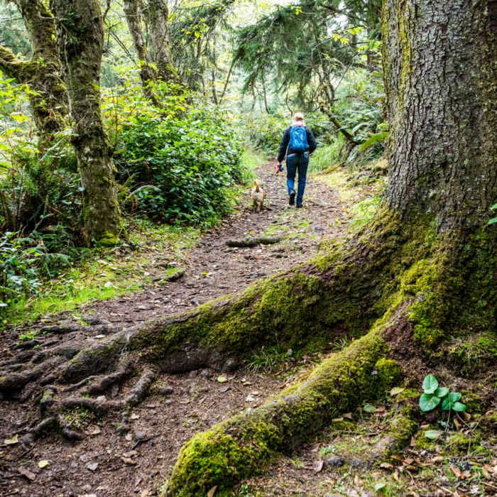 Near Shore Acres State Park to Simpson Overlook