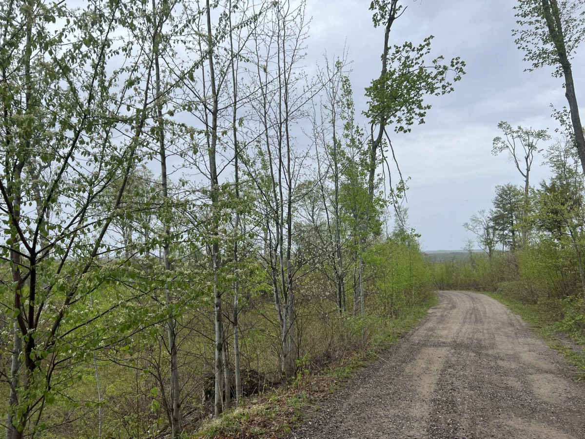 Mountain Tower Road photo 6