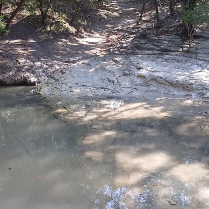 Near Northern Walnut Creek Trail