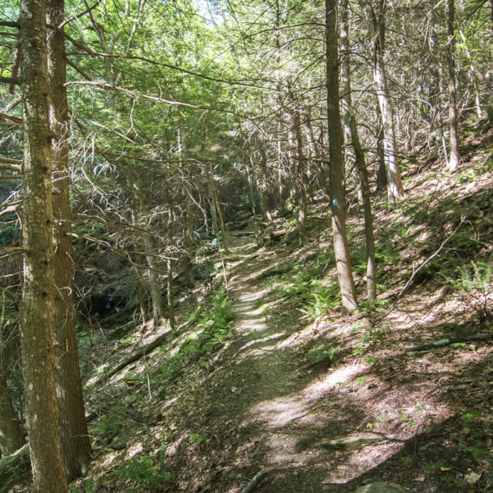 Near Sunset Rock Near Sunset Rock