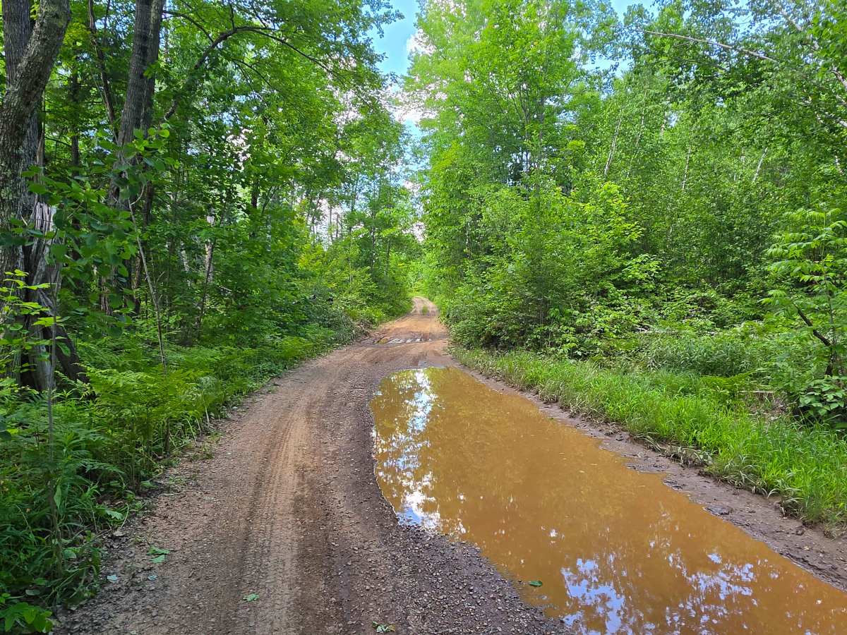 Perch Lake Lane photo 6