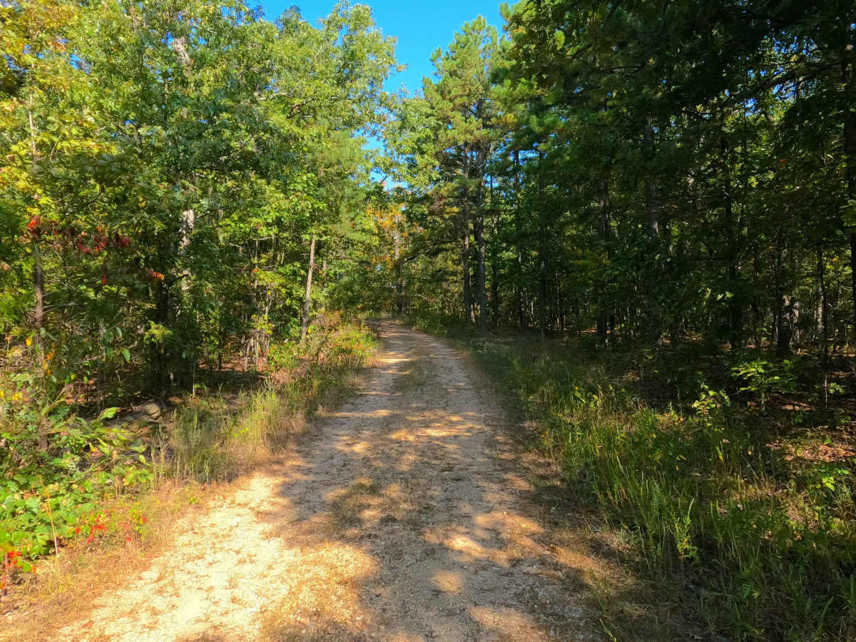 Beasley Hollow - FS 2594 photo 3