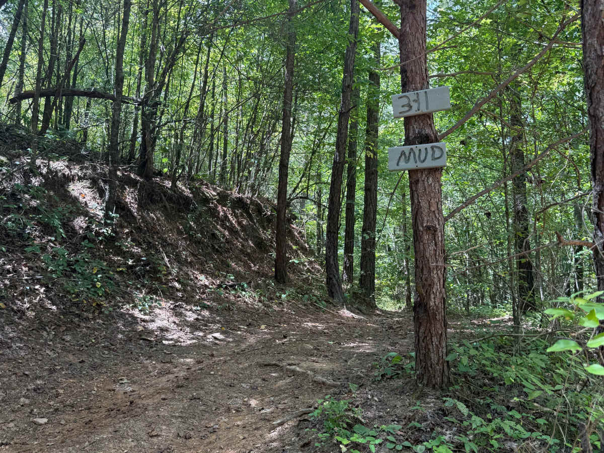 311 Mud photo 2