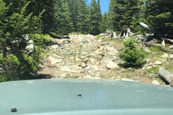 Pearl Beaver to South Pearl  Beaver