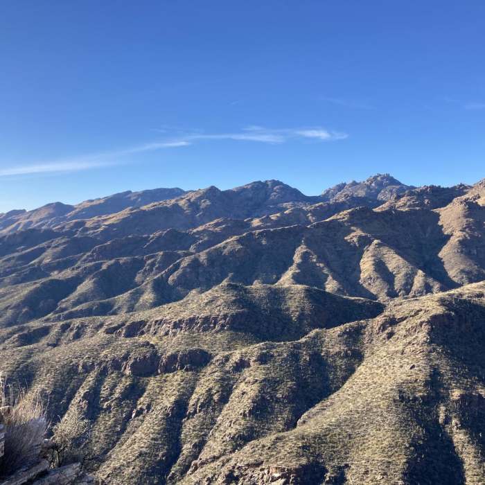 Near Blackett's Ridge