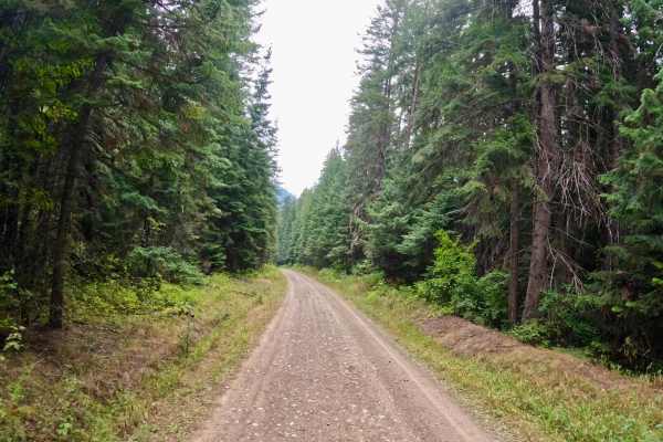 South Fork Little Joe Creek - FS 221