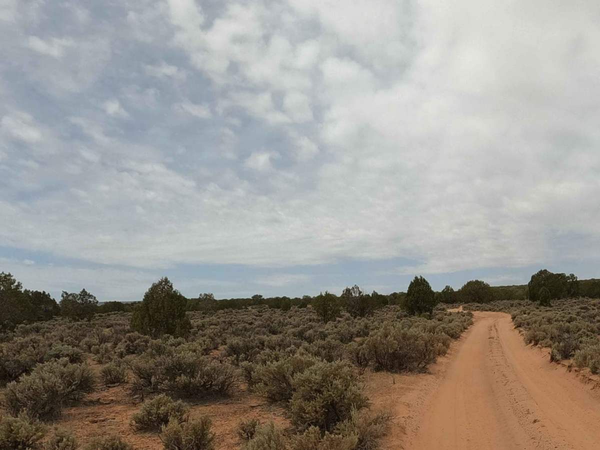 Sandhill Loop - NM1084 photo 2