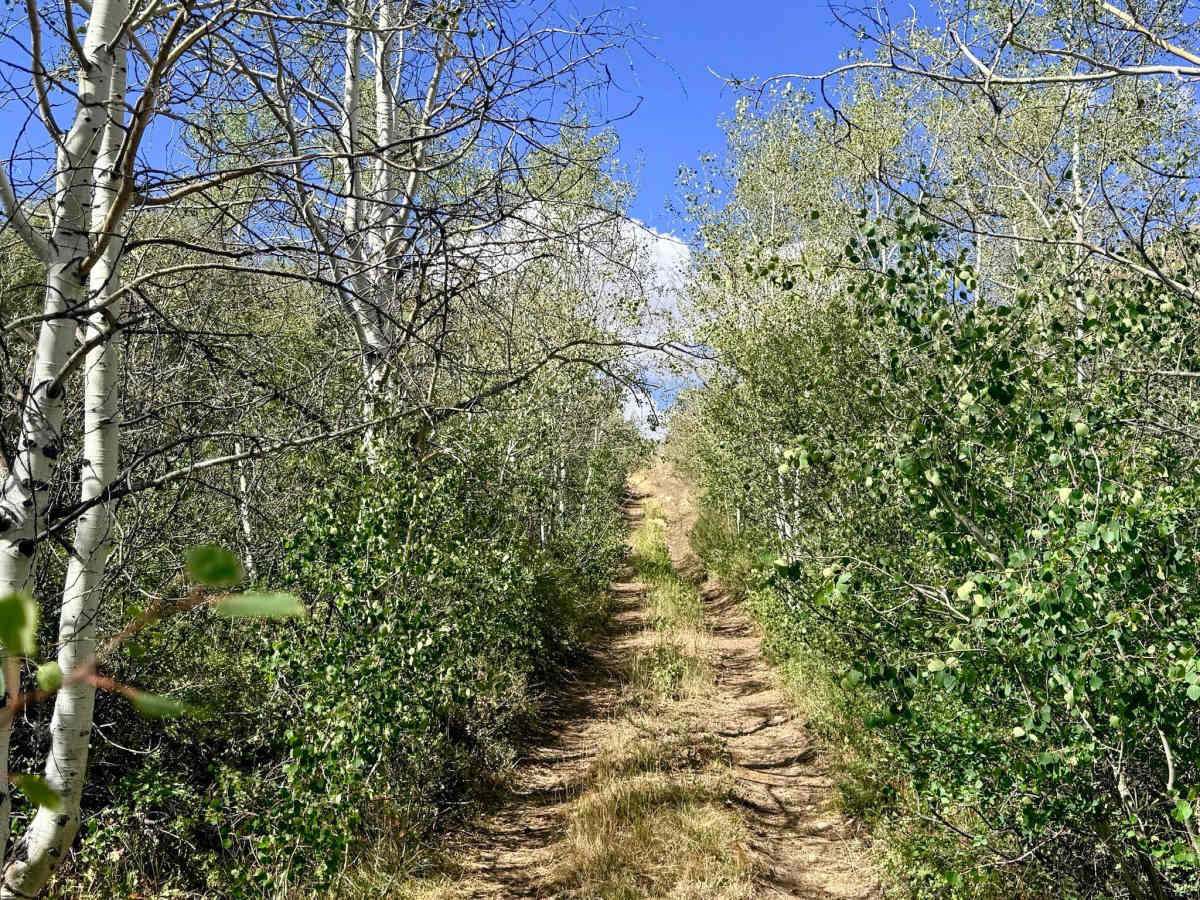 Deadman Springs - FS 56219 photo 2