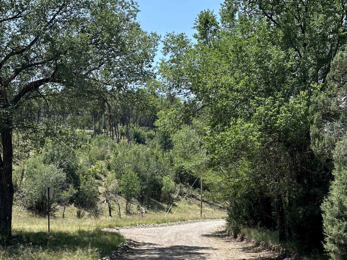 Bear Canyon trail photo