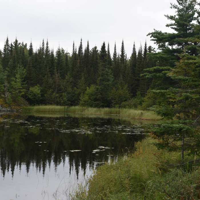 Near Secret/Blackstone Trail