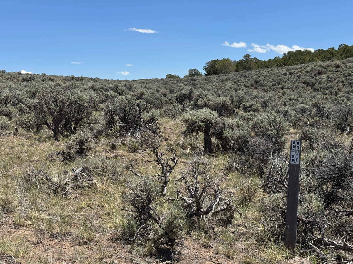 BLM 8472 photo 2