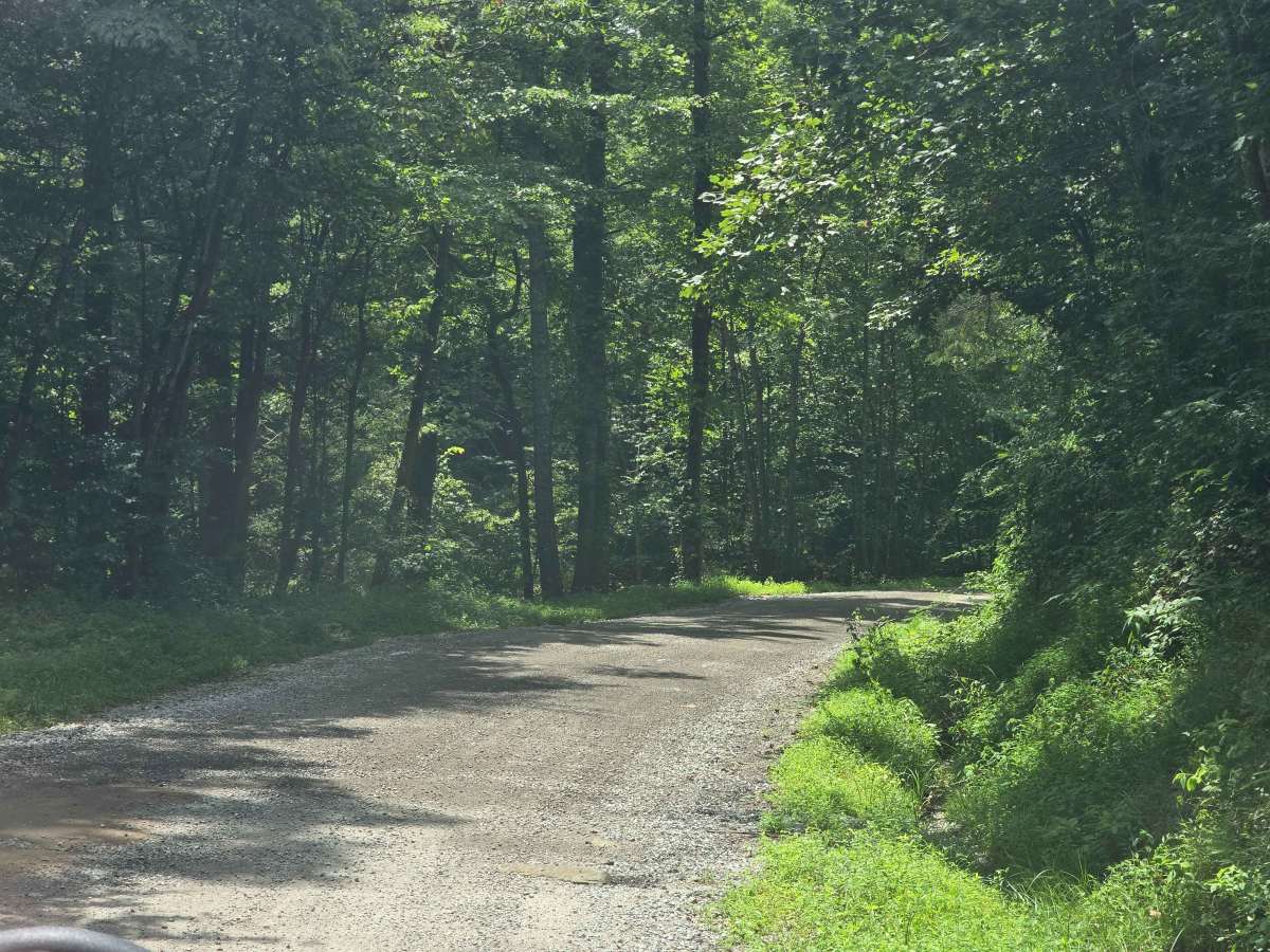 O & W Road trail photo