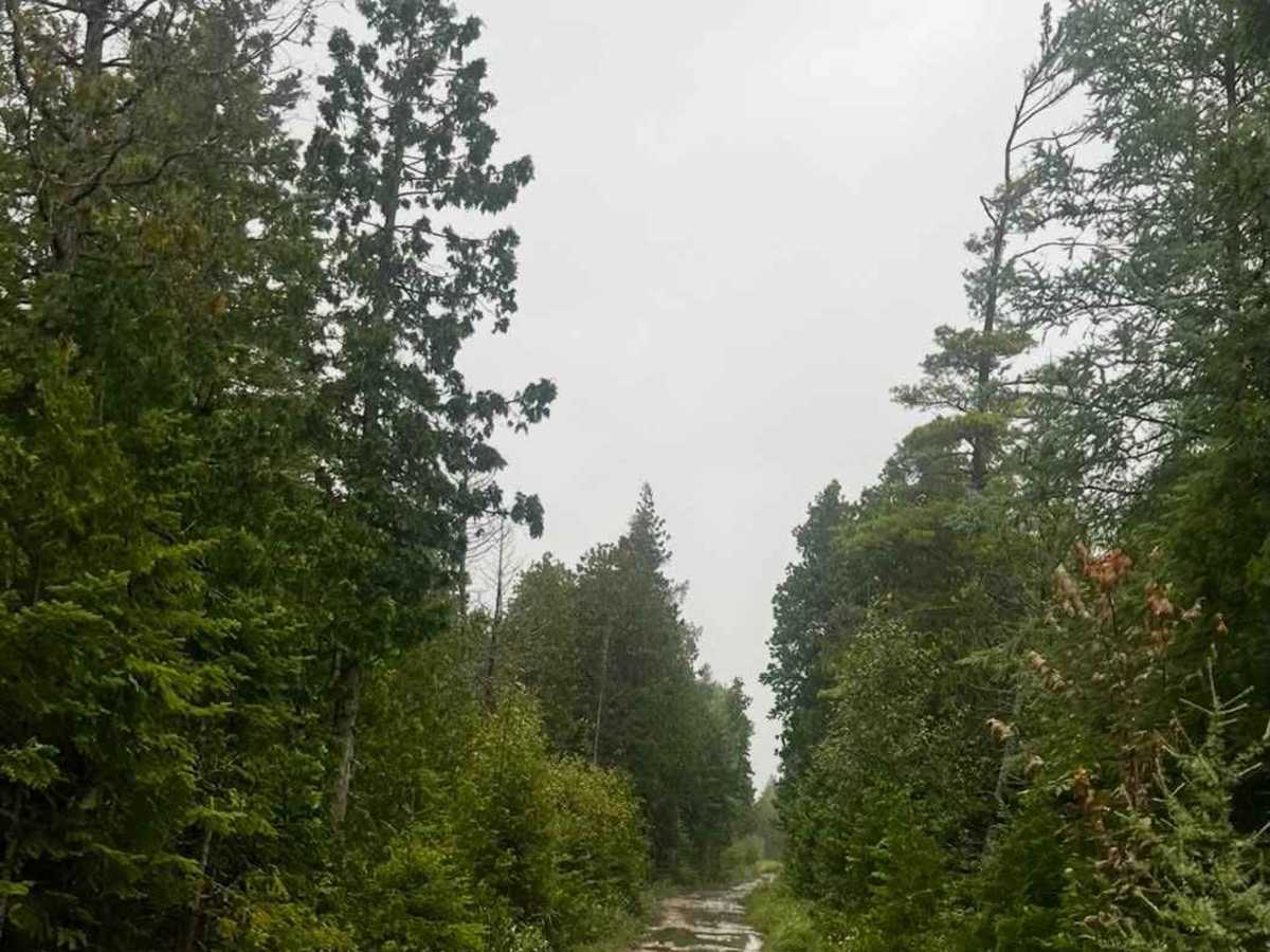 Dave Lauer Memorial Trail photo 6